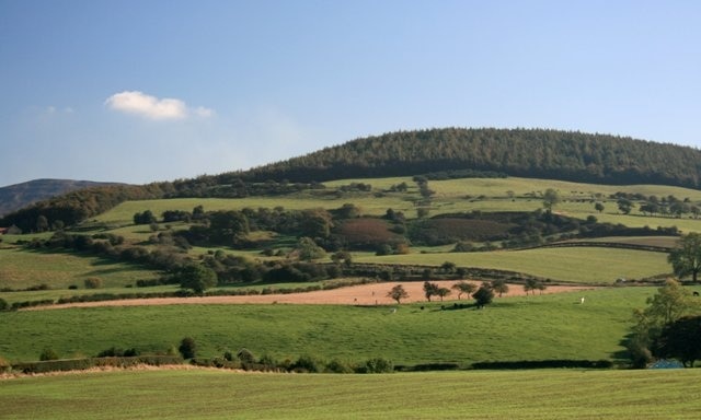 Whorl Hill From the Gold Hill Road View of the hill (NZ4902) shrouded by forestry and planted in 1953.