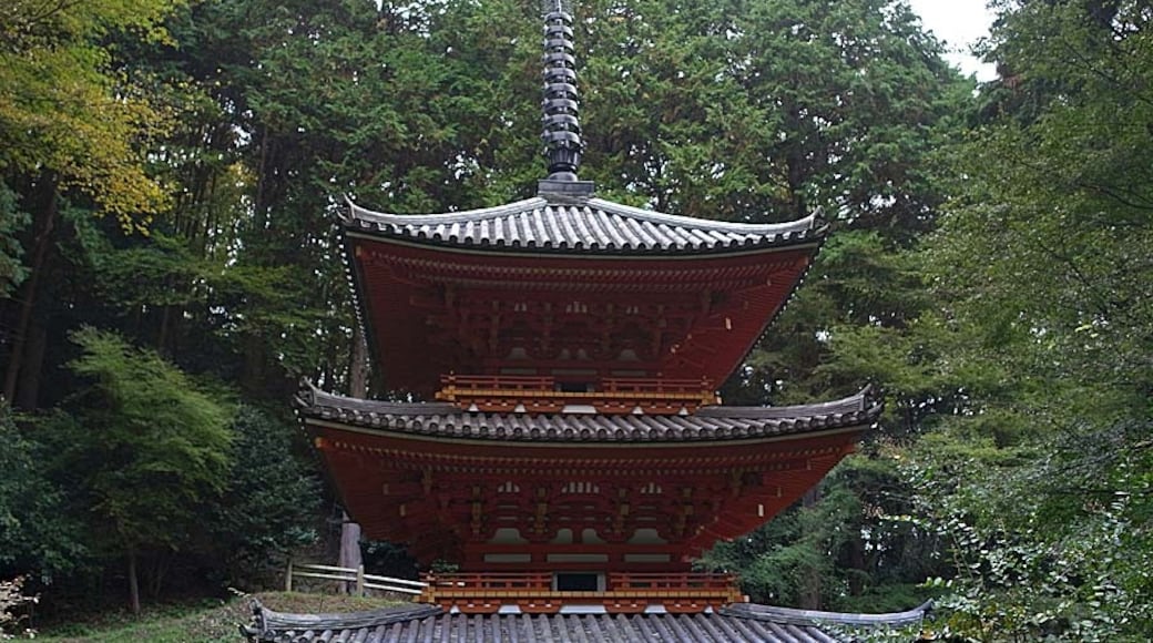 « Kizugawa», photo de z tanuki (CC BY) / rognée de l’originale