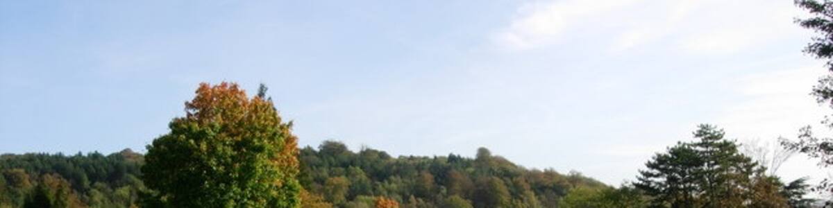 Photo "St. Michael's School Grounds - Otford, Sevenoaks" by Jean Barrow (Creative Commons Attribution-Share Alike 2.0) / Cropped from original