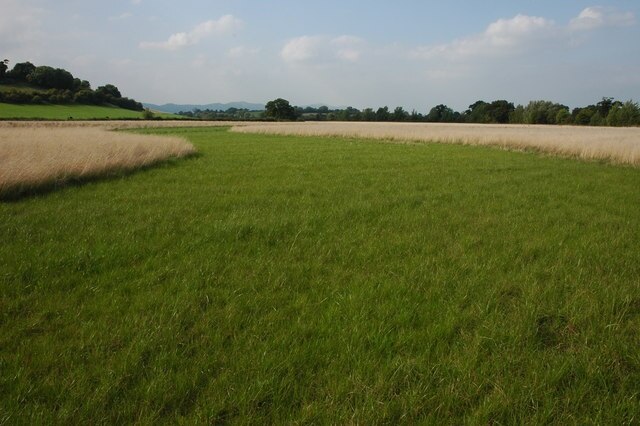 Ảnh "Pendock" của Philip Halling (CC BY-SA) / Cắt từ ảnh gốc