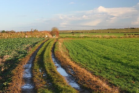 value: "Track near Stonelands Quarry The ever expanding Stonelands Quarry is behind the mound on the left. The track leads from Carterton to Swinbrook."
