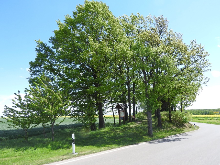 Höckhübel bei Kleintauscha in Thüringen