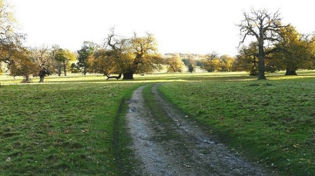 Photo "Nonington" by John Baker (CC BY-SA) / Cropped from original