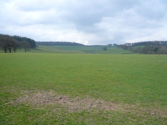 Chatsworth Park View