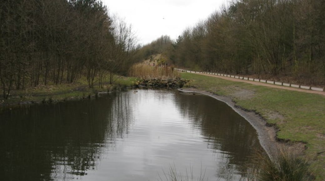 Photo "Vicar Water Country Park" by Alan Heardman (CC BY-SA) / Cropped from original