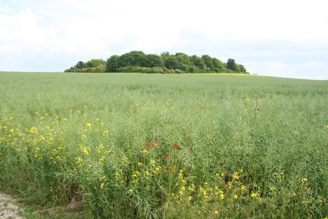 Foto „Newton“ von Duncan Grey (CC BY-SA)/zugeschnittenes Original