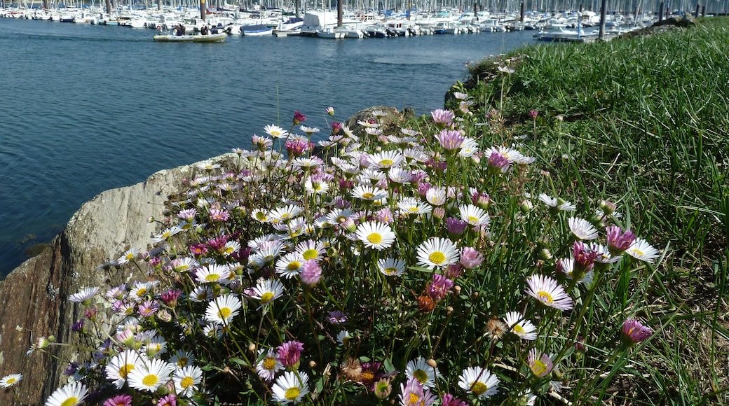 « Saint-Marc», photo de Gaëlle Fily (CC BY) / rognée de l’originale