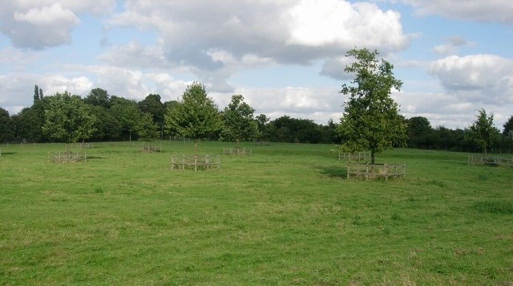 Foto "Fen Ditton" por Hugh Venables (CC BY-SA) / Recortada de la original