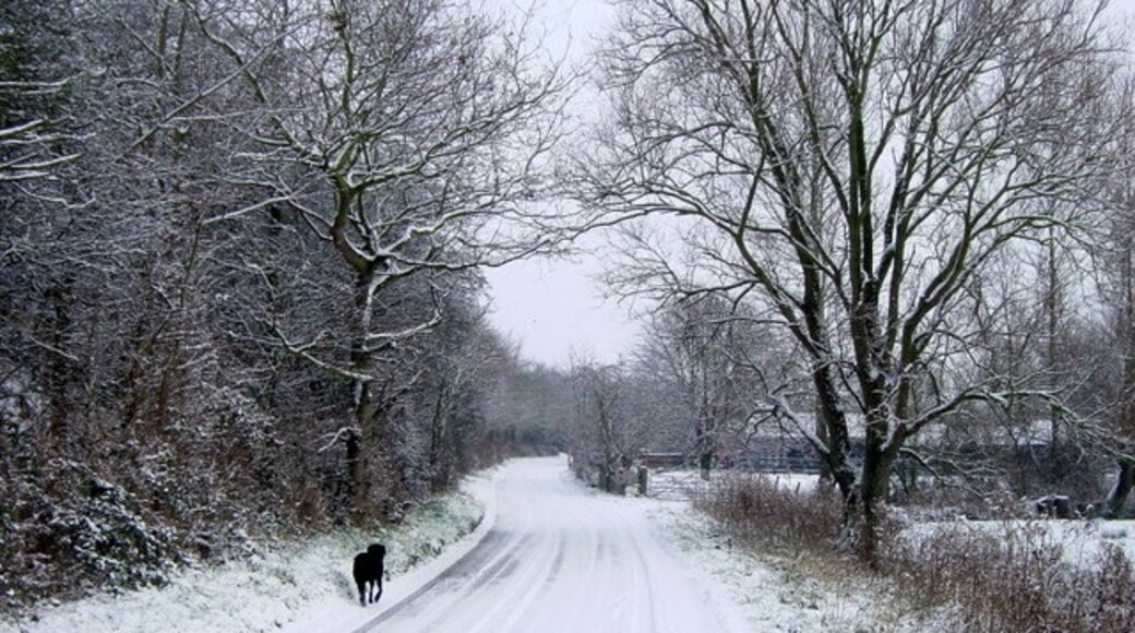 Kuva ”Wortwell” käyttäjältä Graham Playford (CC BY-SA) / rajattu alkuperäisestä kuvasta