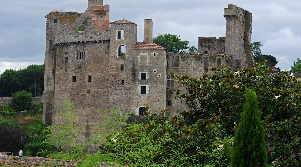 Photo "Clisson Castle" by Daniel Jolivet (CC BY) / Cropped from original