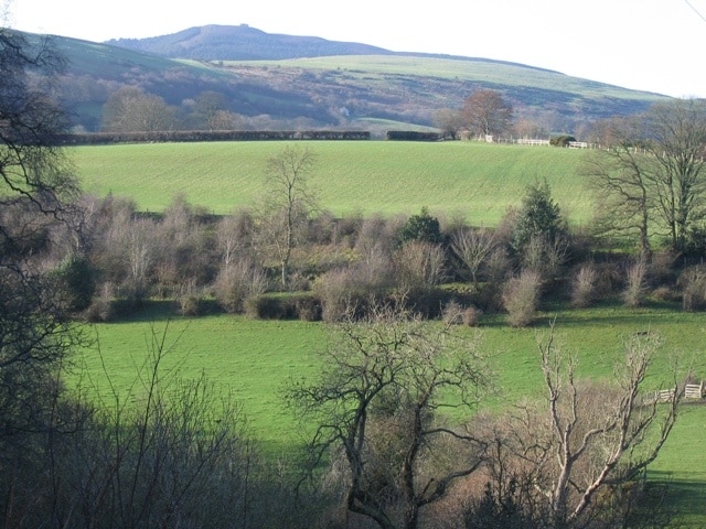 View from the Leete A view from the Leete path, which helps explain why it is such a popular local walk. All the cultivated land is in the square, and the distinctive square ruin of the Jubilee Tower, on top of Moel Famau, can be seen in the distance.