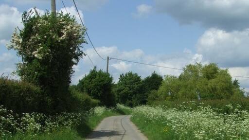 Photo "Chattisham" by Keith Evans (CC BY-SA) / Cropped from original