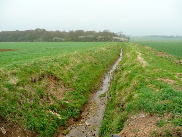 Kuva ”Bigby” käyttäjältä Jonathan Billinger (CC BY-SA) / rajattu alkuperäisestä kuvasta