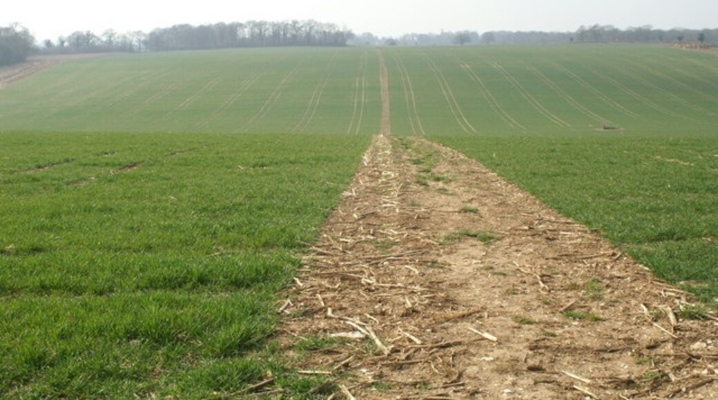 Foto „Michelmersh und Timsbury“ von Pierre Terre (CC BY-SA)/zugeschnittenes Original