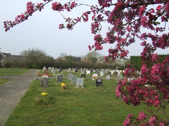 Prunus Blossom and Marsh Gibbon cemetery An ornamental cherry provides a welcome splash of colour.