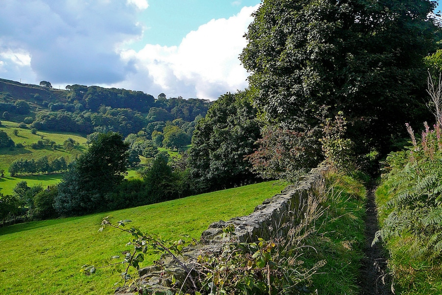 Fall Lane
