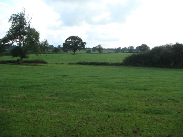 Fields near Common Lane Looking towards North Perrott