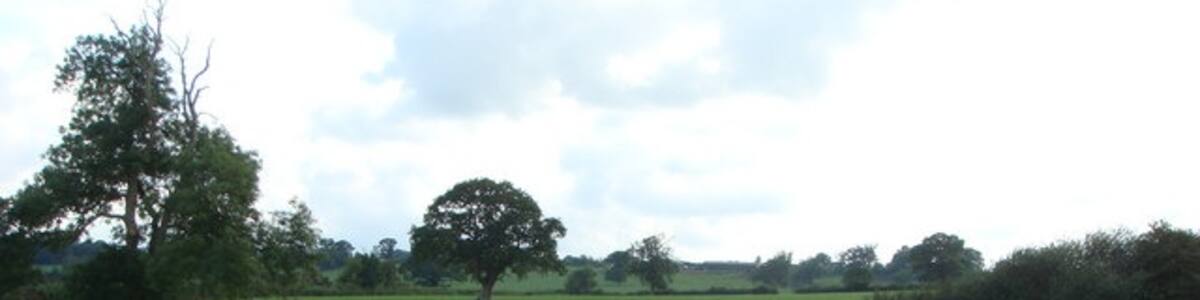Photo "Fields near Common Lane Looking towards North Perrott" by Andrew Davis (Creative Commons Attribution-Share Alike 2.0) / Cropped from original