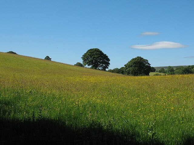 Photo "Nateby" by Stephen Craven (CC BY-SA) / Cropped from original