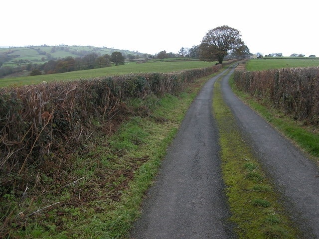 Country road near Wigga, Rowlestone The farm buildings at Wigga can be seen in the background.