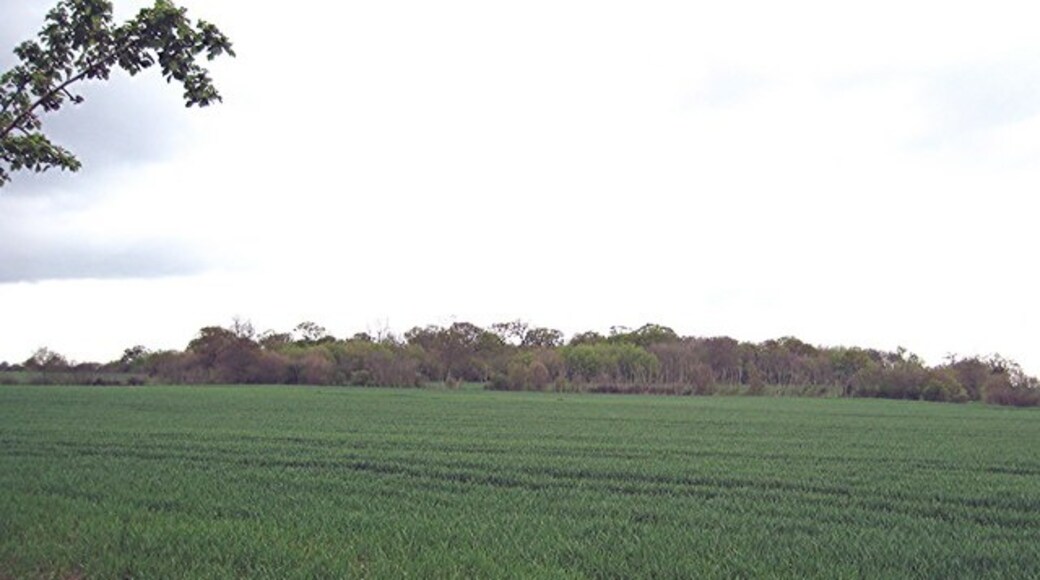 Kuva ”Chignall” käyttäjältä John Myers (CC BY-SA) / rajattu alkuperäisestä kuvasta