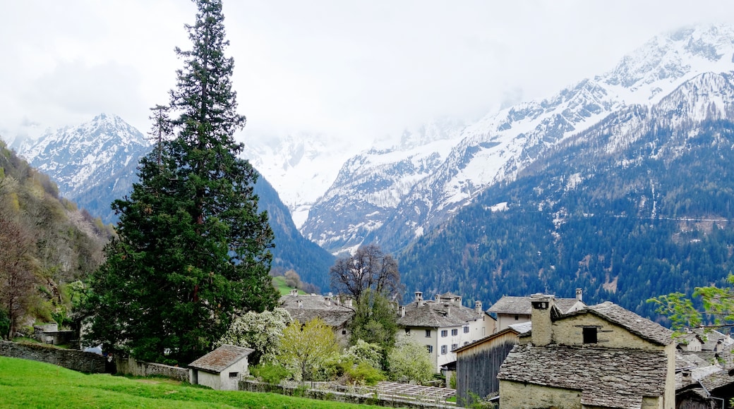 Val Bregaglia, Bregaglia, Graubuenden, Switzerland