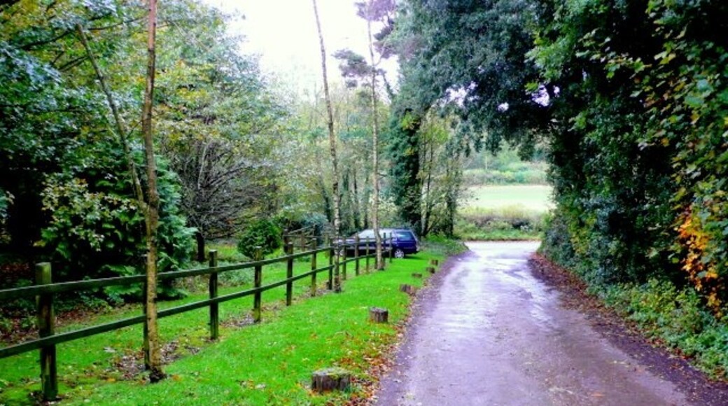 Photo "Winterborne St. Martin" by Nigel Mykura (CC BY-SA) / Cropped from original