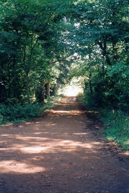 Groveash Lane. This is the start of Groveash Lane, running east from a T-junction with Mill Lane track, about half a mile away from Great Tew.