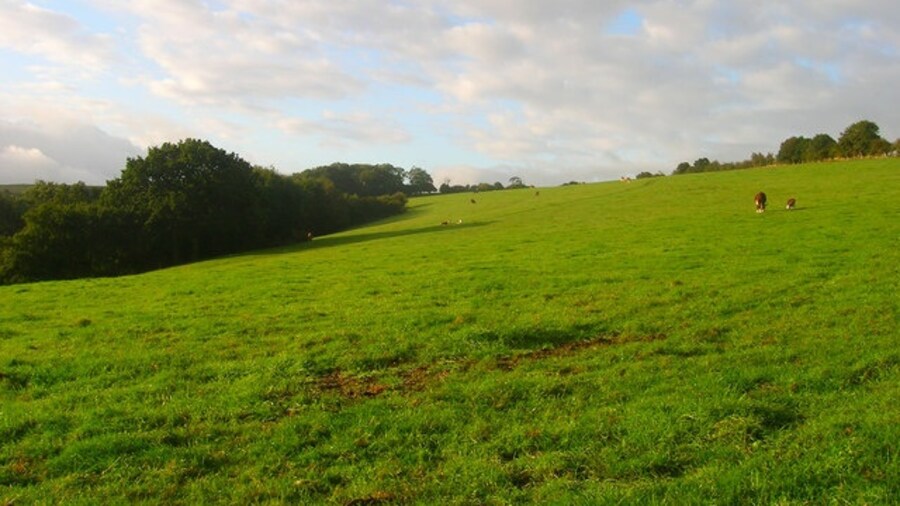 Photo "Cow Down Viewed from the bridleway that heads over Newtimber Hill linking Pyecombe to Saddlescombe." by Simon Carey (Creative Commons Attribution-Share Alike 2.0) / Cropped from original