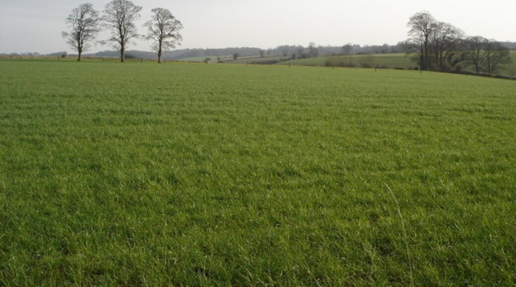 Photo "Boxwell with Leighterton" by Philip Halling (CC BY-SA) / Cropped from original