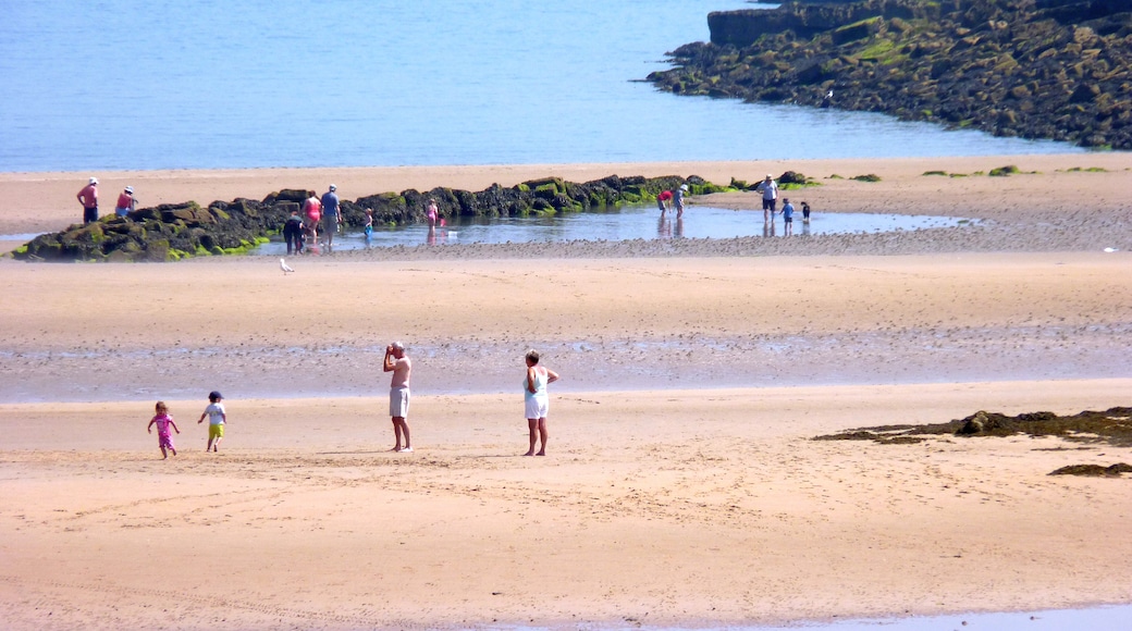Foto "Praia de Lligwy" de RobinLeicester (CC BY-SA) / Recortada do original