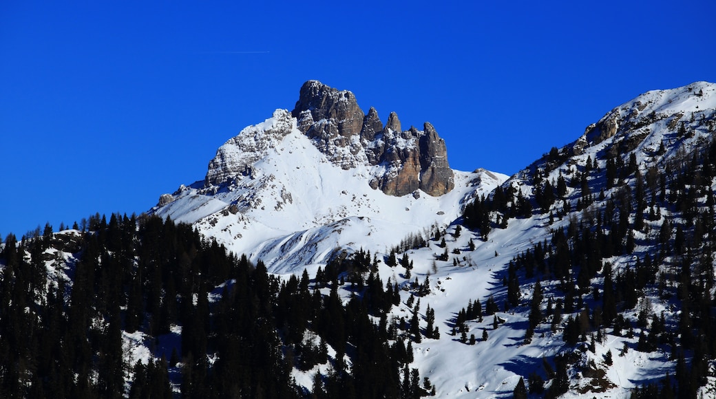 Photo "Val di Zoldo" by Peter Venezia (page does not exist) (CC BY-SA) / Cropped from original