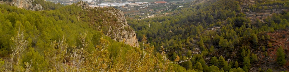 Photo "Vallada." by Qoan (Creative Commons Attribution-Share Alike 3.0) / Cropped from original