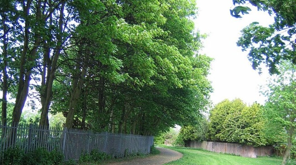 Kuva ”Belmont” käyttäjältä Roger Smith (CC BY-SA) / rajattu alkuperäisestä kuvasta