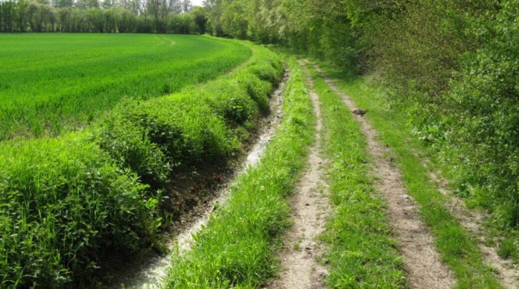 Photo "Hothfield" by Nick Smith (CC BY-SA) / Cropped from original