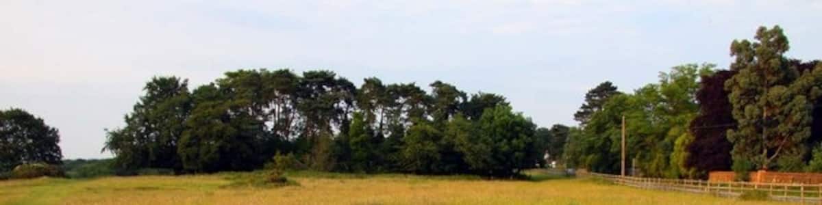 Photo "Oxford Preservation Trust's Old Berkeley Golf Course" by Steve Daniels (Creative Commons Attribution-Share Alike 2.0) / Cropped from original