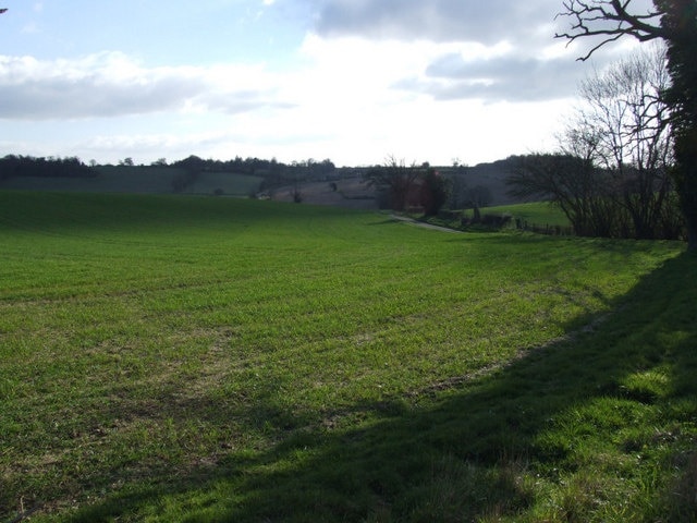 Photo "King's Walden" by Jeff Tomlinson (CC BY-SA) / Cropped from original