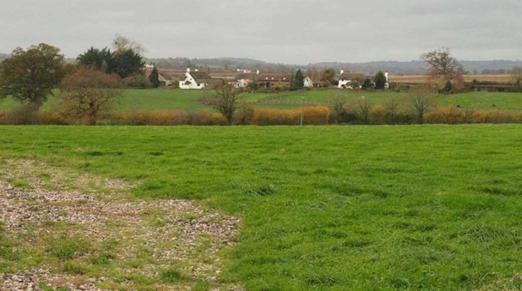 Foto "Ash Priors" de Derek Harper (CC BY-SA) / Recortada do original