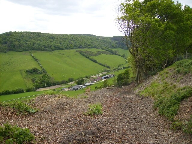 Photo "Broxa-cum-Troutsdale" by Phil Catterall (CC BY-SA) / Cropped from original