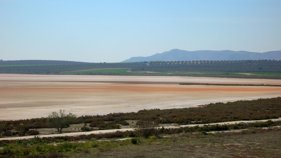Photo "Lagune de Fuente de Piedra (comarque d'Antequera, province de Malaga, Espagne)" by Gzzz (Creative Commons Attribution-Share Alike 3.0) / Cropped from original