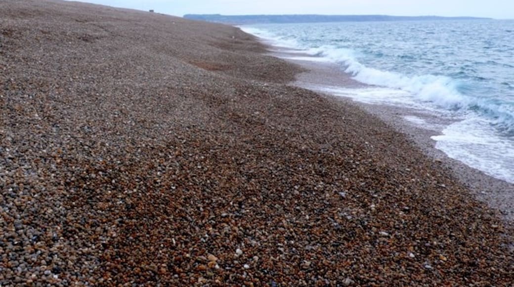 Foto "Pantai Chesil" oleh Nigel Mykura (CC BY-SA) / Dipotong dari foto asli