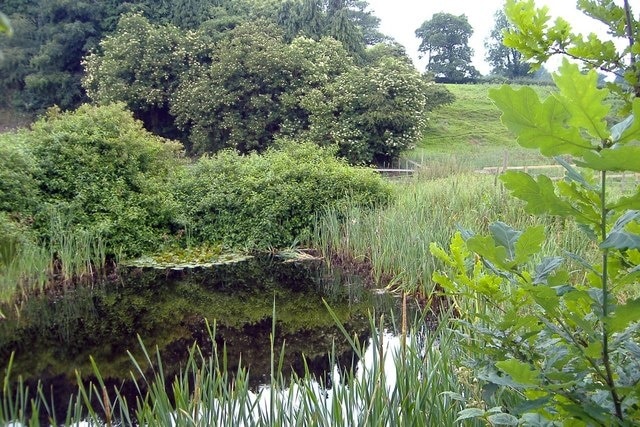 Foto "Rushton" de Mike Harris (CC BY-SA) / Recortada do original