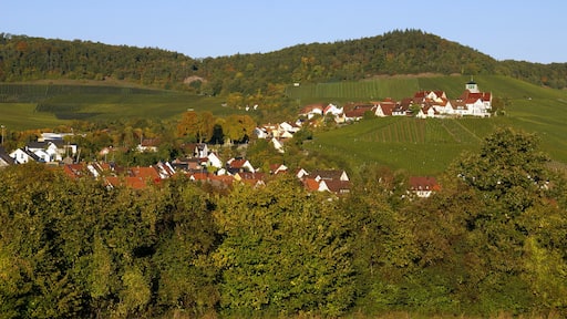 « Hohenhaslach», photo de A.Grünberger (CC BY) / rognée de l’originale