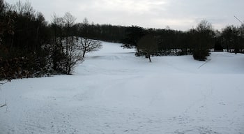 Sundridge Park golf course in the snow Aerial photographs show that the area in the foreground, adjacent to New Street Hill, is a green, with bunkers either side.