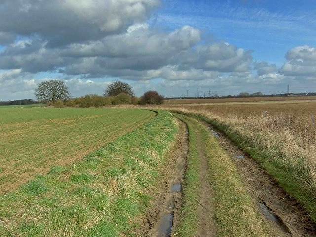 Rake's Lane The colliery headgear at Rossington is now gone cf Dave Dunford's 2007 photo.