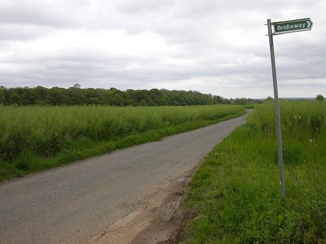 Billede "Wicken" af Ian Rob (CC BY-SA) / beskåret fra det originale billede