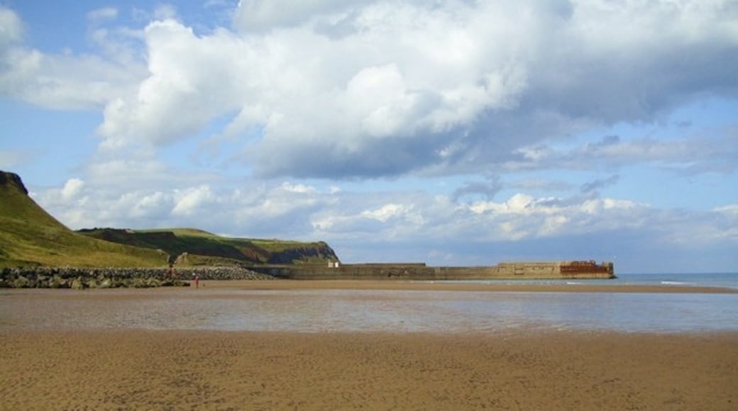 Photo "Cattersty Sands" by Gordon Hatton (CC BY-SA) / Cropped from original