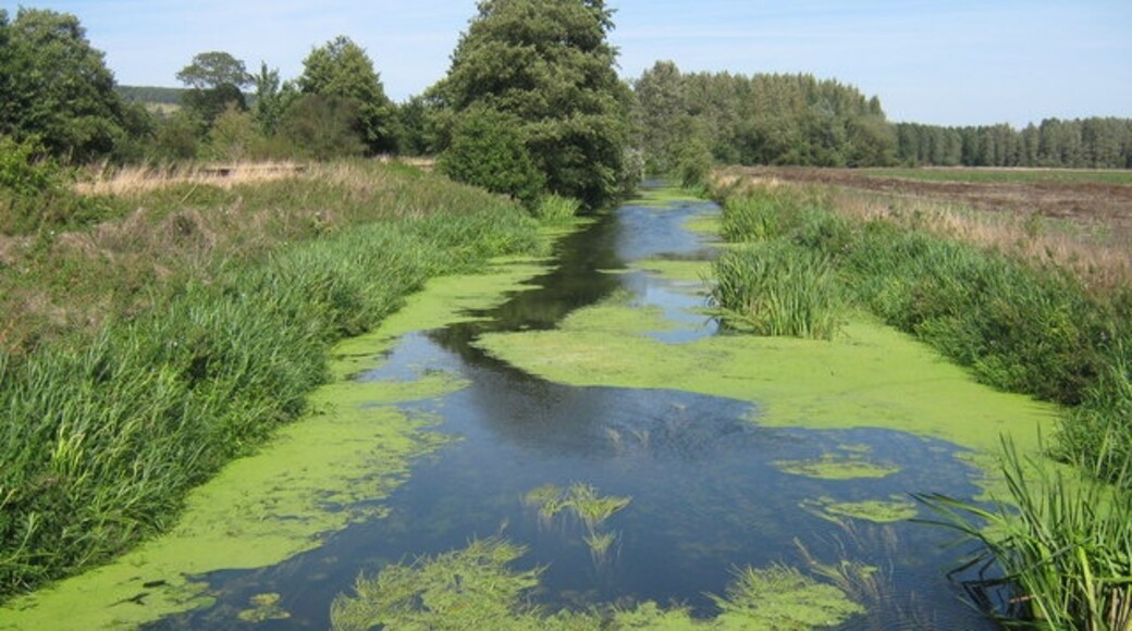 Ảnh "Wye with Hinxhill" của David Anstiss (CC BY-SA) / Cắt từ ảnh gốc