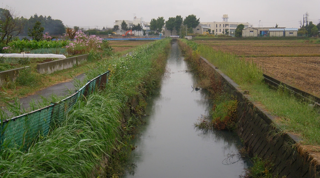 Shin-kawa River and Mamiya junior highschool. West ward (Nishi-ku), Saitama, Saitama prefecture, Japan.