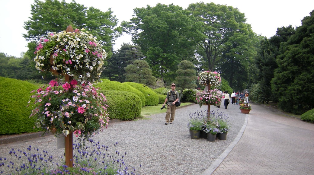 ภาพ "สวนพฤกษศาสตร์จินได" โดย hasano_jp (CC BY) / ตัดภาพจากขนาดต้นฉบับ